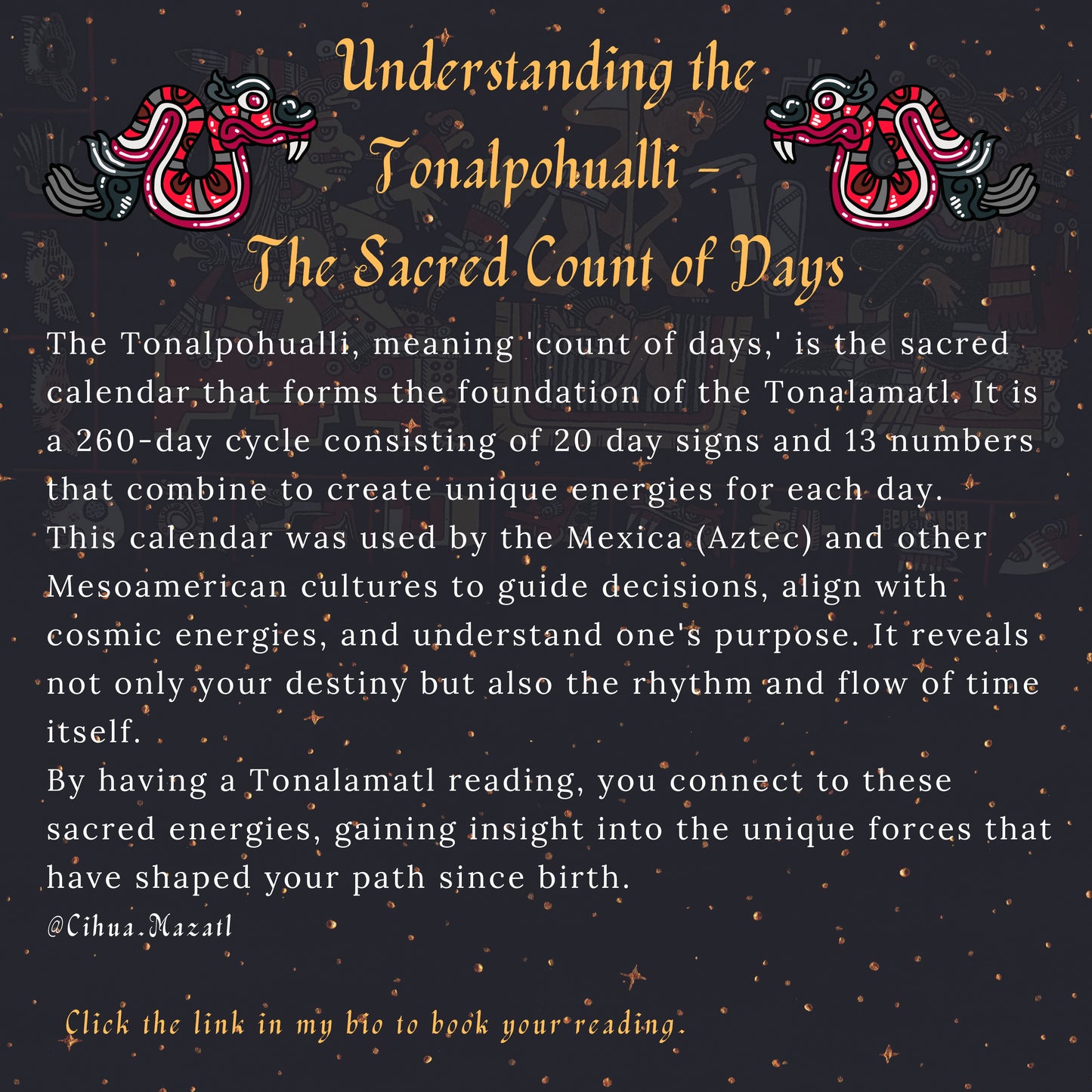 TONALAMATL Appointment| Individual or Family | Tonalli Reading