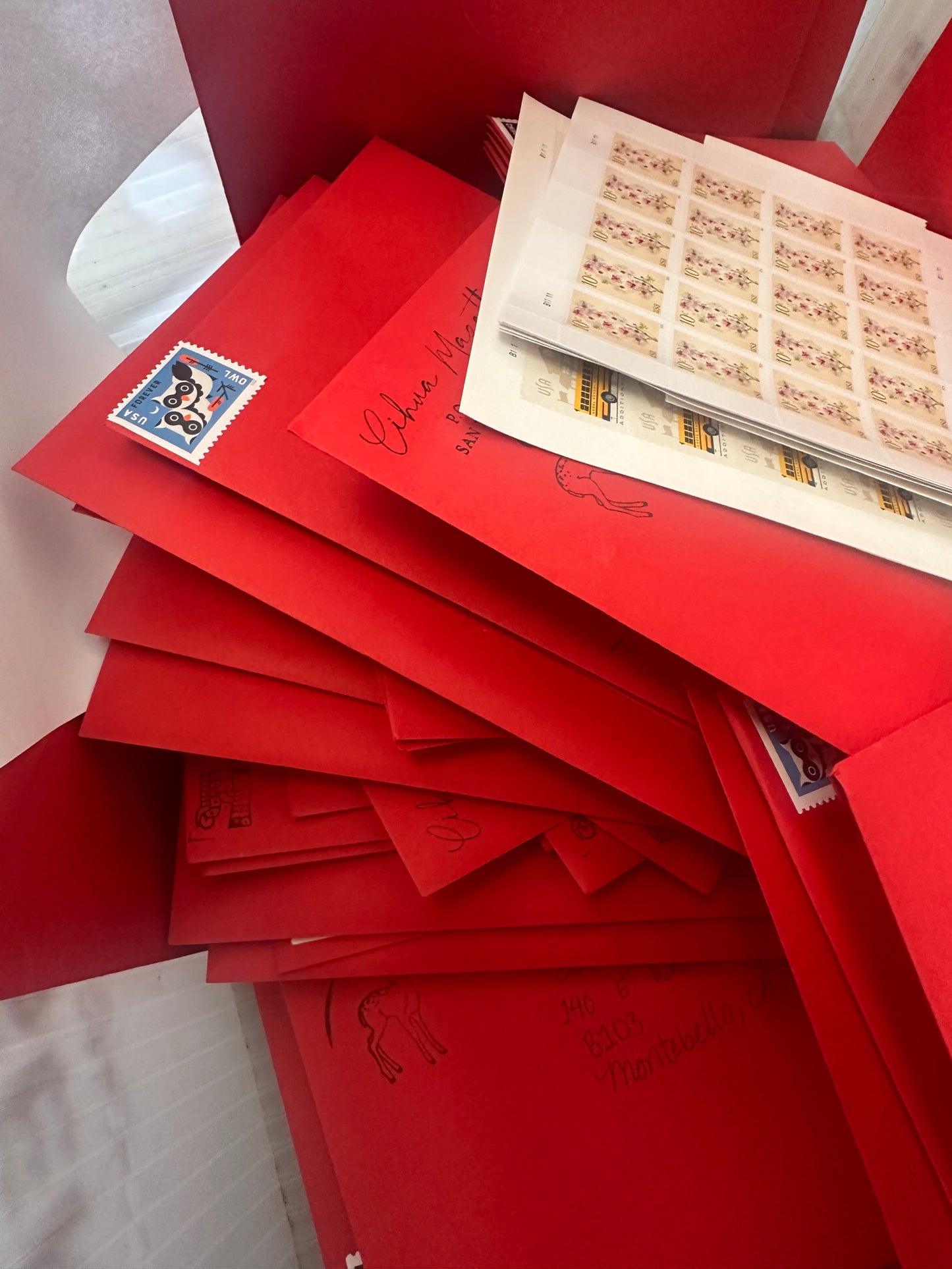 Tlacuilolli Del Fuego Mail Club Subscription| snail mail| art mail