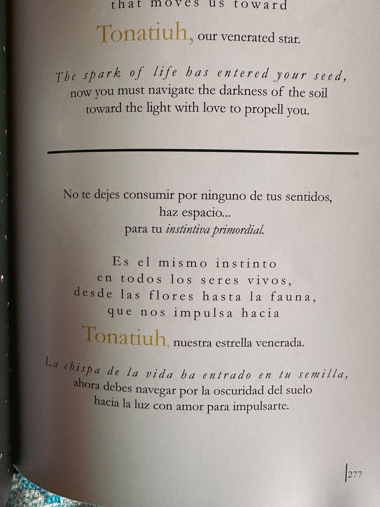 Oráculo Tlahtolli firmado: adivinaciones para la noche y el día | Libro