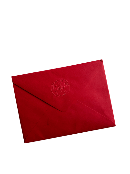 Tlacuilolli Del Fuego Mail Club Subscription| snail mail| art mail