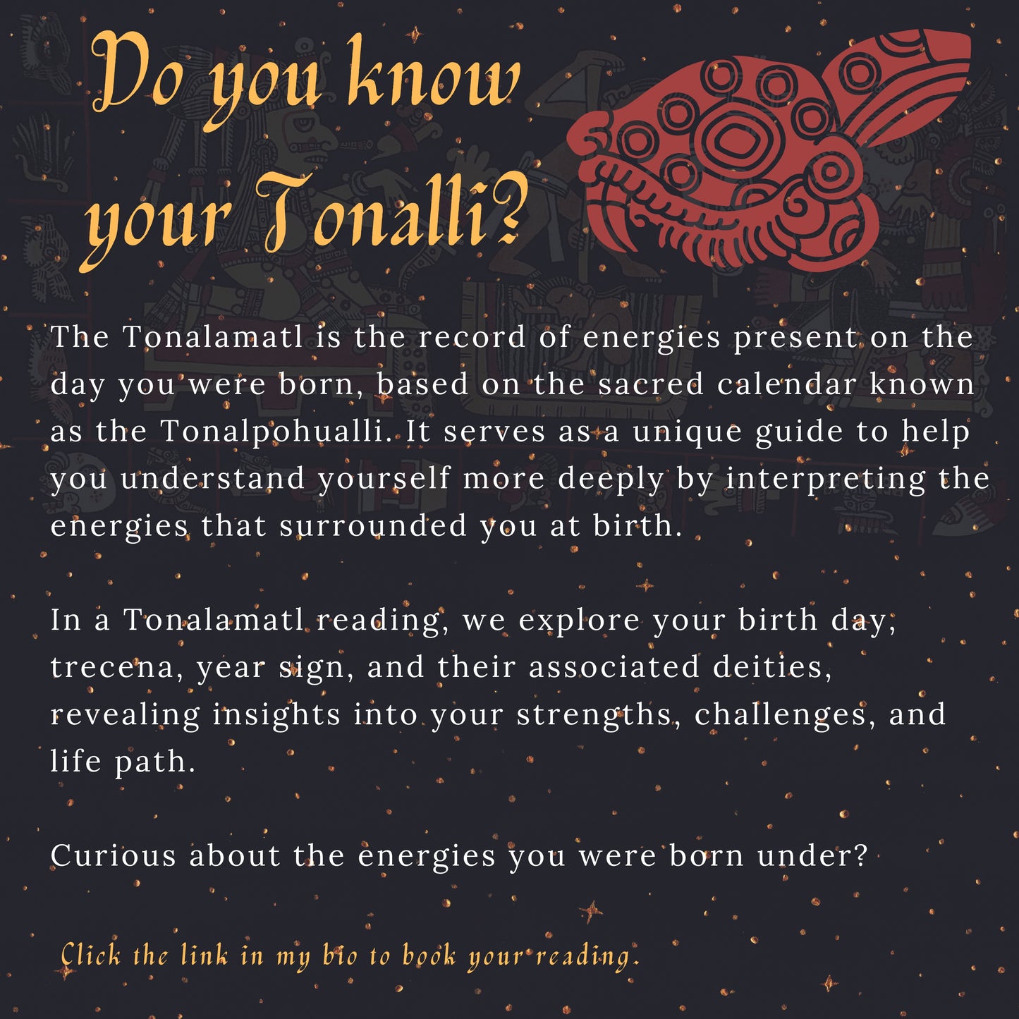 TONALAMATL Appointment| Individual or Family | Tonalli Reading