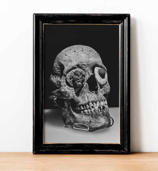 Impresión fotográfica de bellas artes de la calavera de Miquiztli | Calendario azteca